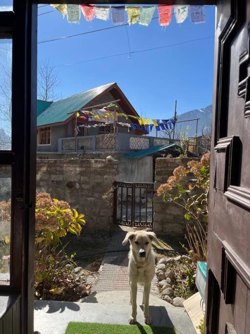 Gharsa - Your Mountain Home Manali  Bagian luar foto